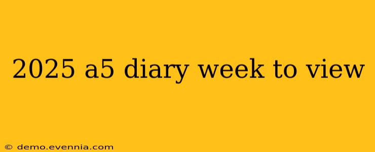 2025 a5 diary week to view