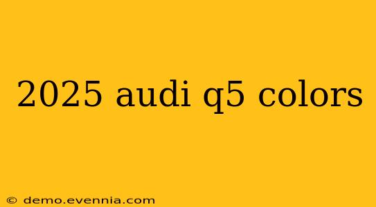 2025 audi q5 colors