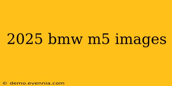 2025 bmw m5 images