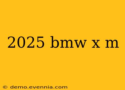 2025 bmw x m