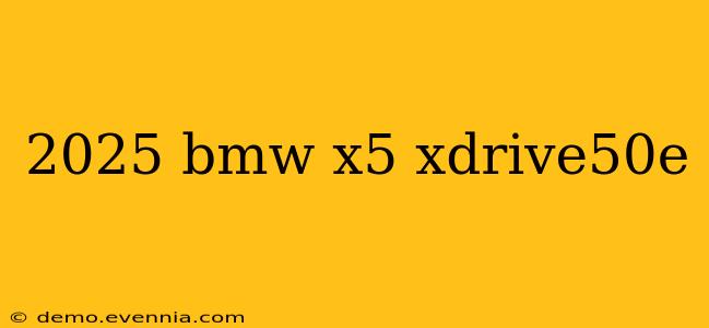 2025 bmw x5 xdrive50e