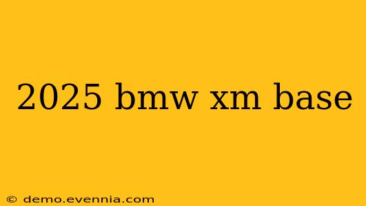 2025 bmw xm base