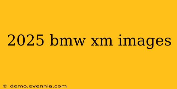 2025 bmw xm images