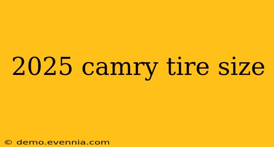 2025 camry tire size