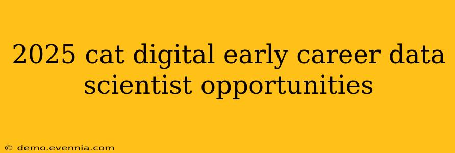 2025 cat digital early career data scientist opportunities