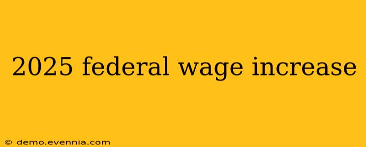 2025 federal wage increase