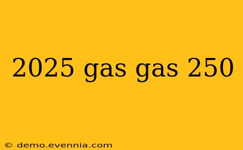 2025 gas gas 250