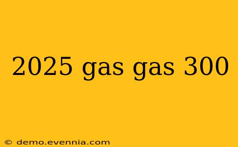 2025 gas gas 300