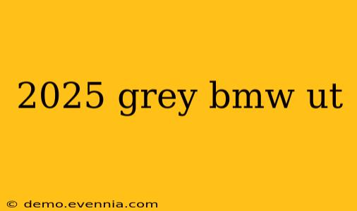 2025 grey bmw ut