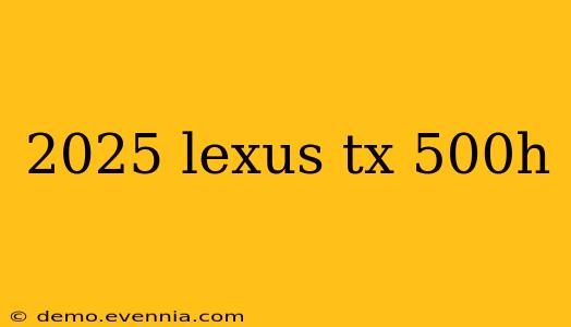 2025 lexus tx 500h