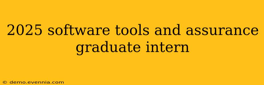 2025 software tools and assurance graduate intern