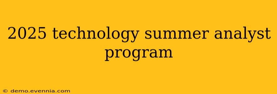 2025 technology summer analyst program