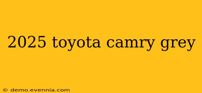 2025 toyota camry grey