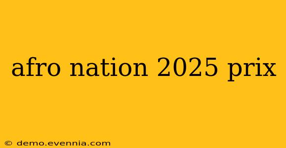 afro nation 2025 prix