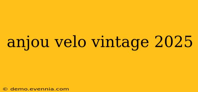 anjou velo vintage 2025