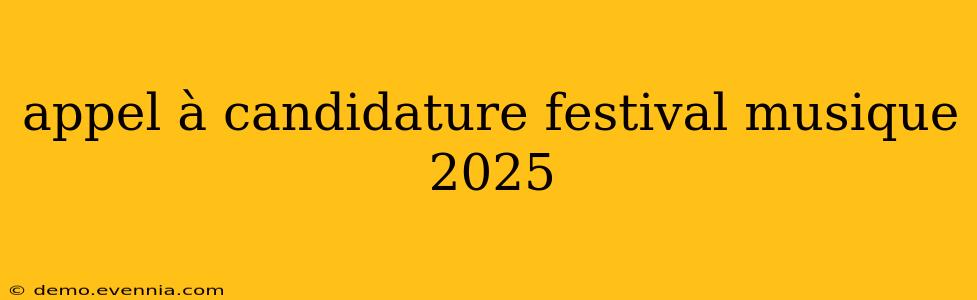 appel à candidature festival musique 2025