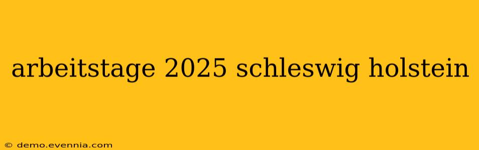 arbeitstage 2025 schleswig holstein