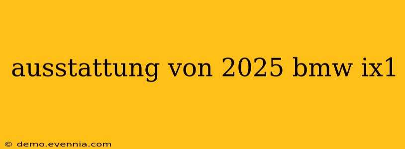 ausstattung von 2025 bmw ix1