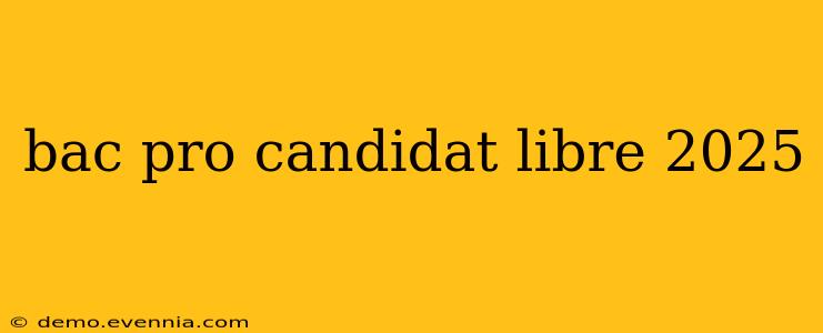 bac pro candidat libre 2025