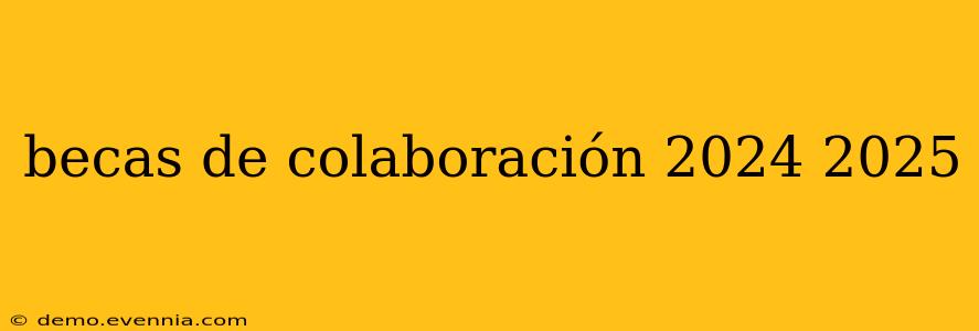 becas de colaboración 2024 2025