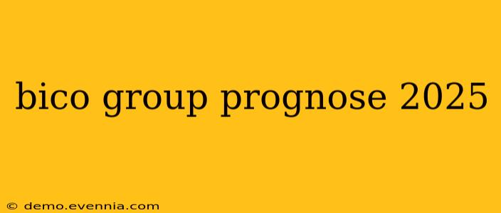 bico group prognose 2025