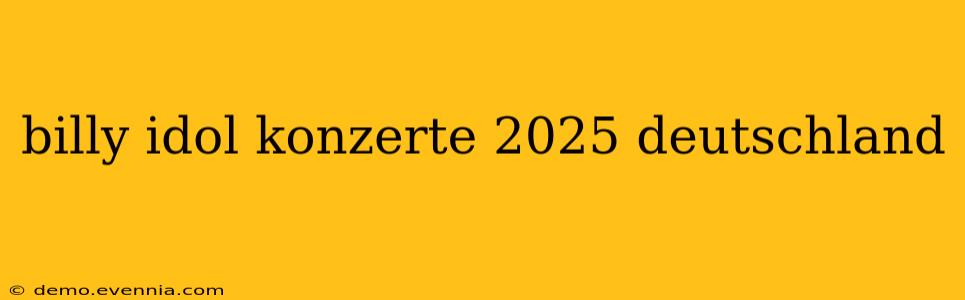 billy idol konzerte 2025 deutschland