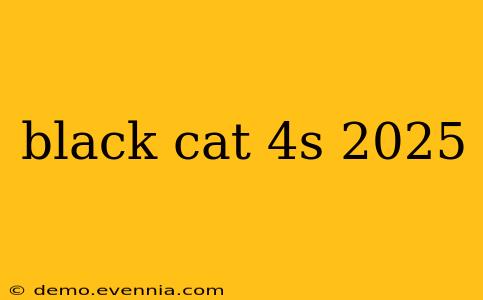 black cat 4s 2025