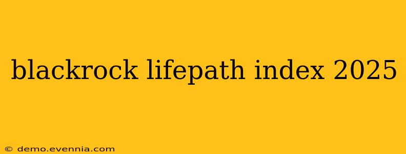 blackrock lifepath index 2025