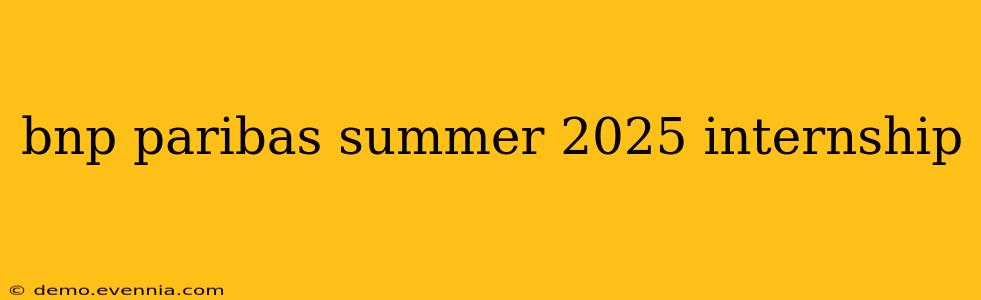 bnp paribas summer 2025 internship