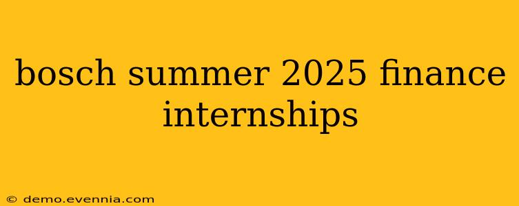 bosch summer 2025 finance internships