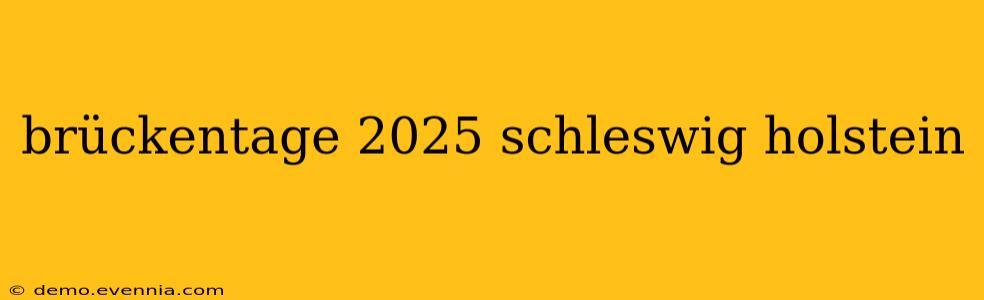 brückentage 2025 schleswig holstein