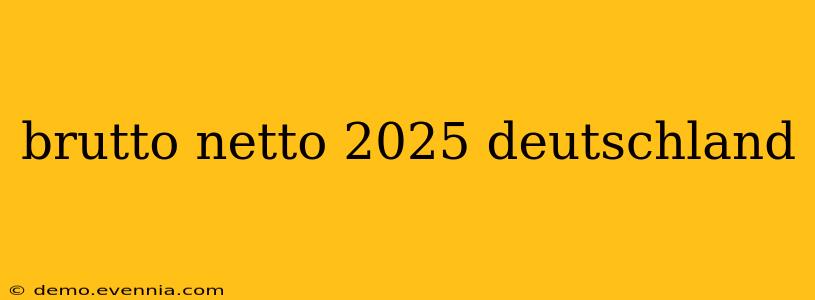 brutto netto 2025 deutschland