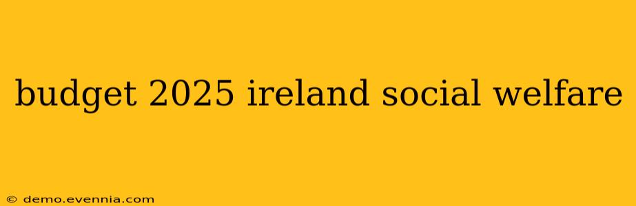 budget 2025 ireland social welfare