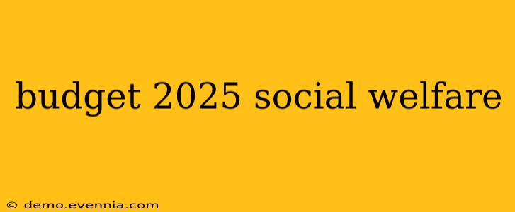 budget 2025 social welfare