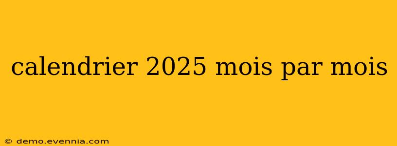 calendrier 2025 mois par mois