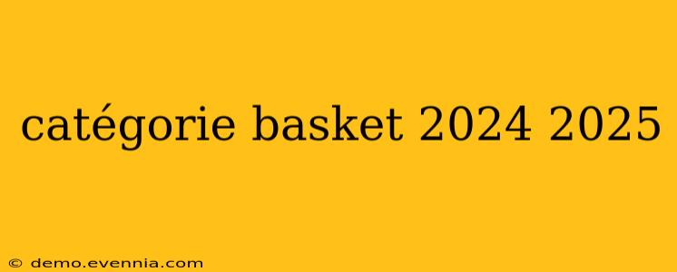 catégorie basket 2024 2025