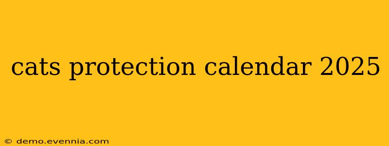 cats protection calendar 2025