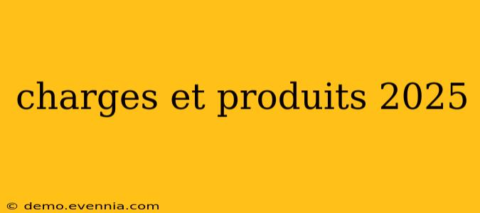 charges et produits 2025