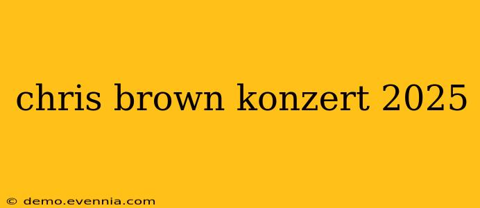 chris brown konzert 2025