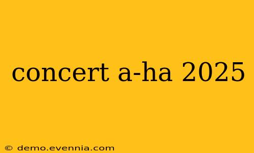 concert a-ha 2025