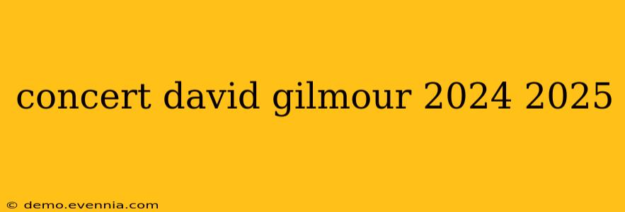 concert david gilmour 2024 2025