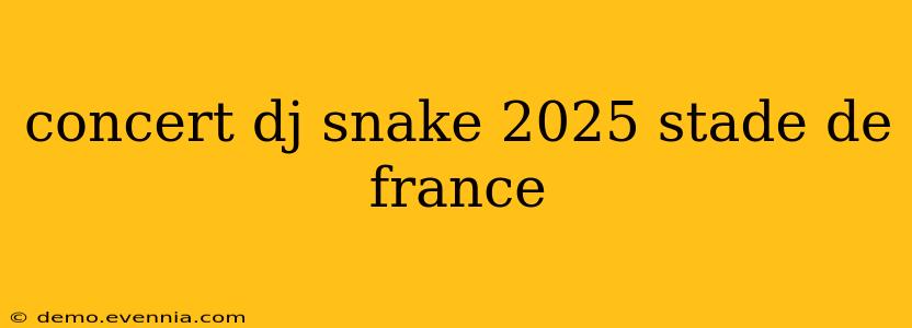 concert dj snake 2025 stade de france