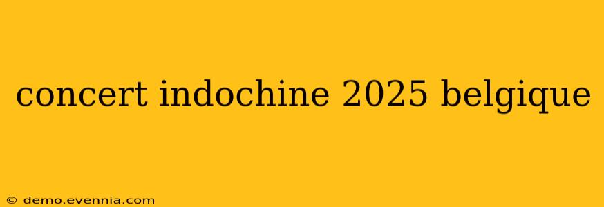 concert indochine 2025 belgique