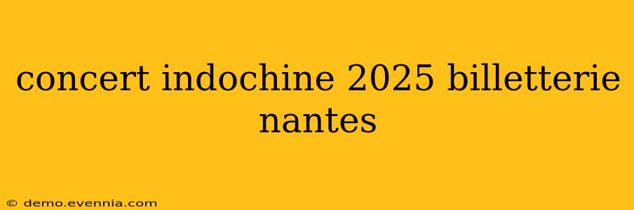 concert indochine 2025 billetterie nantes