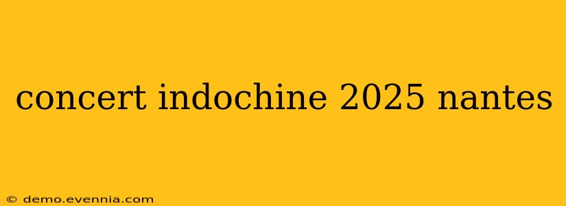 concert indochine 2025 nantes