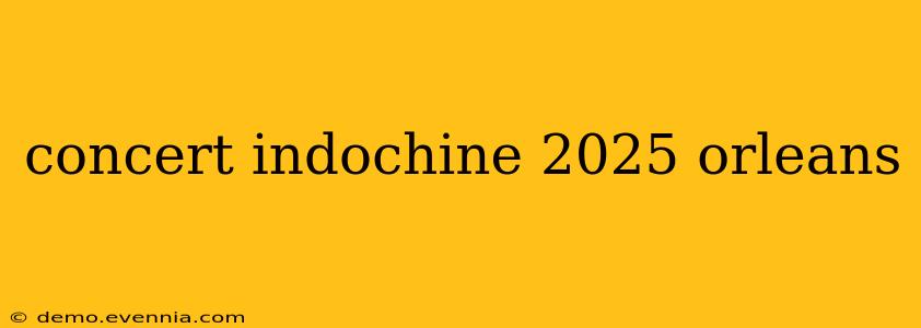 concert indochine 2025 orleans