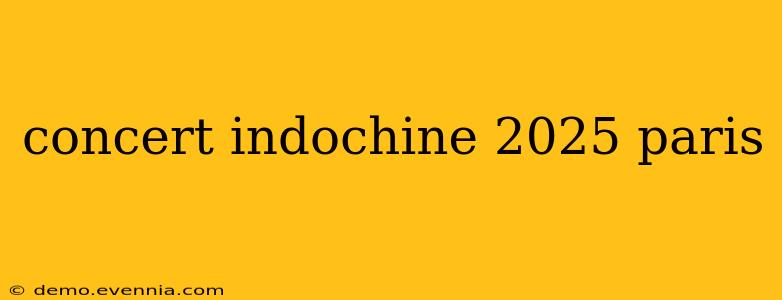 concert indochine 2025 paris