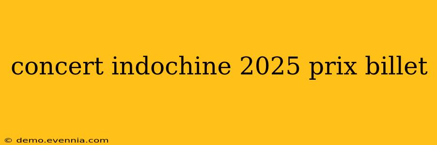 concert indochine 2025 prix billet