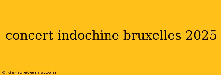 concert indochine bruxelles 2025