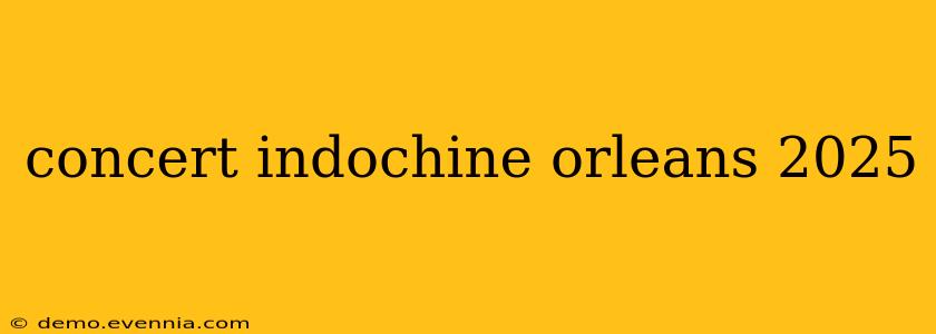 concert indochine orleans 2025